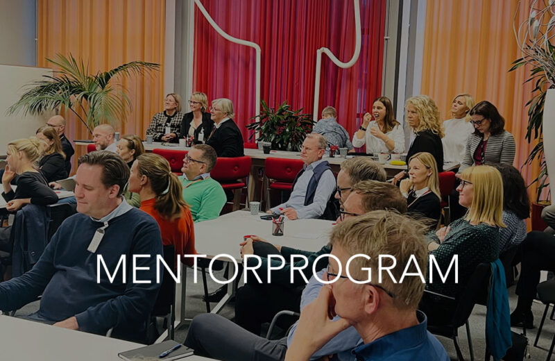 Mentorskapsprogram för företag